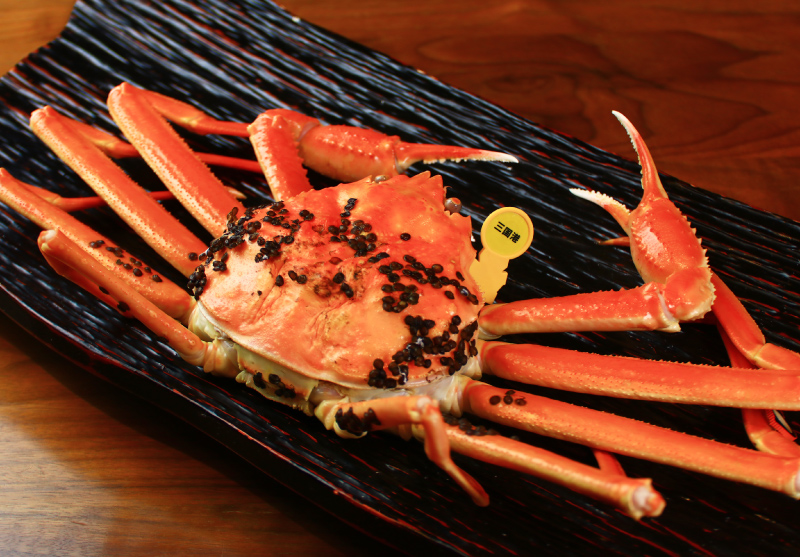 越前がにと越前紅ズワイがにの食べ比べ!かに尽くしコース