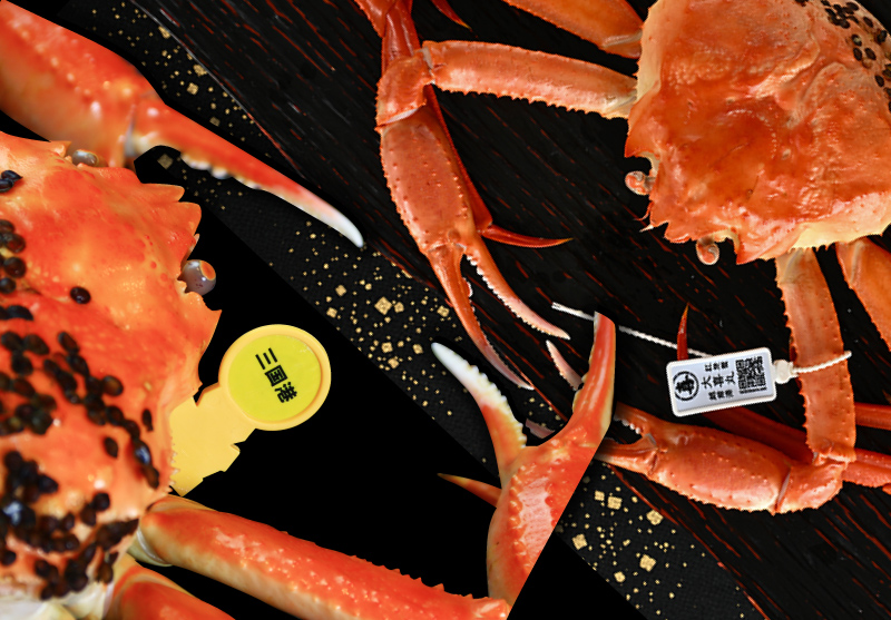 越前がにと越前紅ズワイがにの食べ比べ!かに尽くしコース