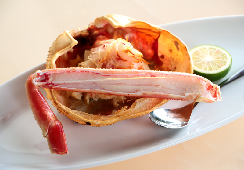 越前がにと越前紅ズワイがにの食べ比べ!かに尽くしコース