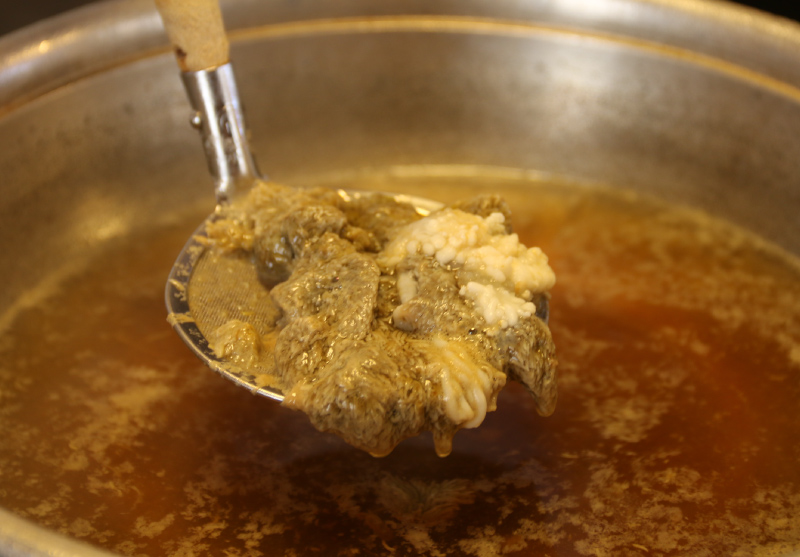 越前がにと越前紅ズワイがにの食べ比べ!かに尽くしコース